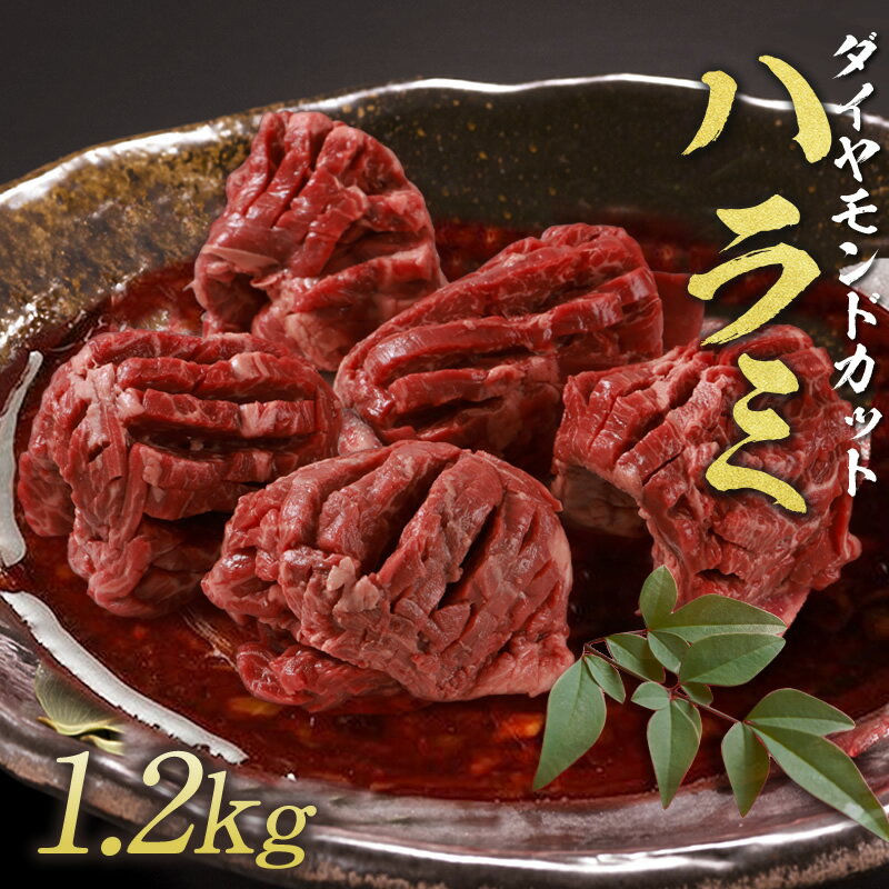 【 焼肉トラジ 】 ダイヤモンドcut ハラミ 1.2kg (120g×10パック) 訳あり トラジ toraji はらみ 厚切り..