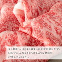 【 焼肉トラジ 】 黒毛和牛 特上ロース 大判 切り落とし 300g 霜降り トラジ toraji プレゼント お肉 ギフト 御歳暮 焼肉 焼き肉 すき焼き肉 国産 国産牛 霜降り肉 ひとり焼肉 すき焼き 牛丼 鍋 お取り寄せ 送料無料 肉 切り落とし お得 3