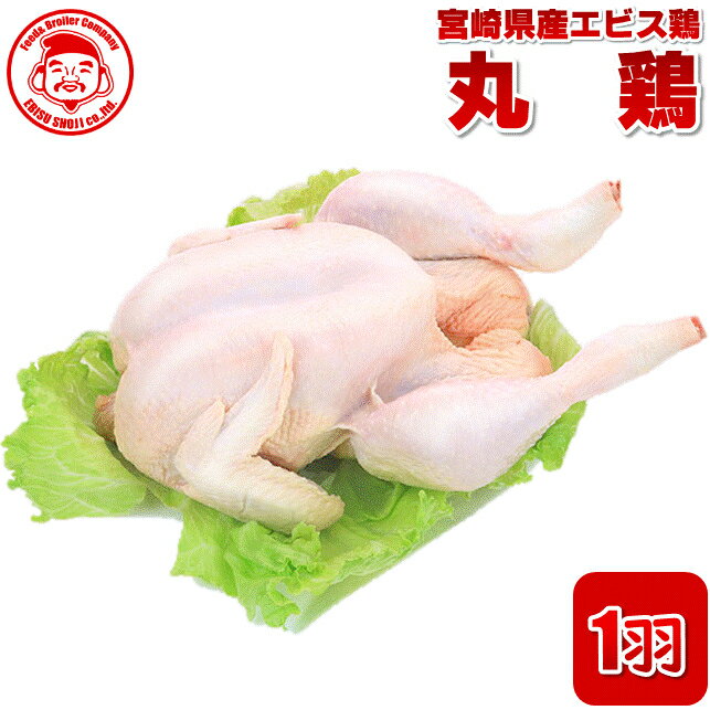 宮崎県産エビス鶏 丸鶏 [中抜き1羽]■生鮮品■丸鶏 鶏肉 お取り寄せグルメ お取り寄せ 肉 【ローストチキン】【宮崎県産】【九州】【鶏肉】