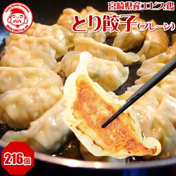 とり餃子(プレーン) [54個×4箱]■冷凍品■ 餃子 鶏肉 宮崎 お取り寄せ【国内製造】【冷凍】【エビス鶏100％使用】【贈り物】【お歳暮】【ギフト】