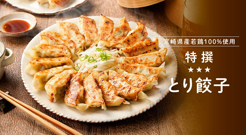 【今だけ最大32％OFF＆P10倍】【国産鶏肉100％】宮崎エビス鶏 とり餃子[1箱(54個)1,980円～⇒]■冷凍品■ 国内製造 鶏餃子 ヘルシー お取り寄せ