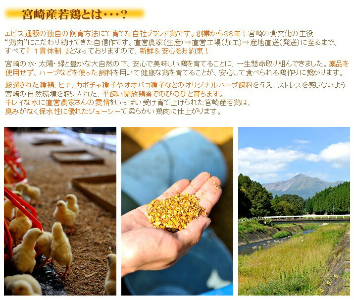 ��������30��OFF���ܺ긩�����ӥ��� �� [1kg��771��]�������ʢ�Ļ��С� ���� �����󤻥���� ���ڵܺ긩���ۡڶ彣�ۡڷ����ۡڶ�̳�ѡ�