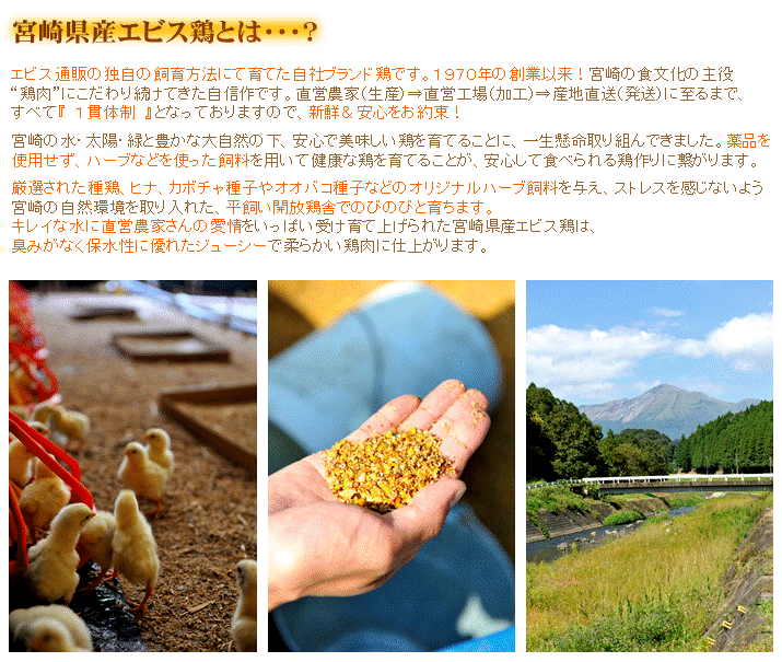 ��������30��OFF���ܺ긩�����ӥ��� ������ [1kg��982��]�������ʢ� Ļ������ ���� �����󤻥���� �� �ڤ����ᤷ�ۡڵܺ긩���ۡڶ彣�ۡڷ����ۡڶ�̳�ѡ�