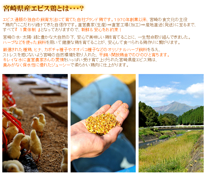 ��������30��OFF���ܺ긩�����ӥ��� �ܤ󤸤� [1kg��589��]�������ʢ��ܺ� ������ �� Ļ�ơ���ڵܺ긩���ۡڶ彣�ۡڷ����ۡڶ�̳�ѡ�