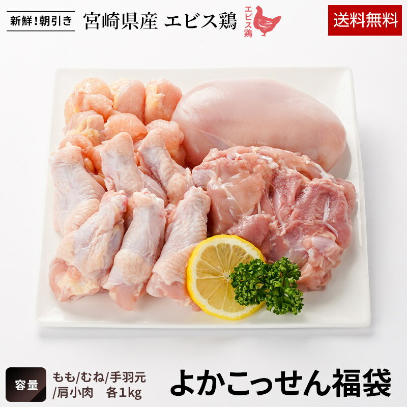 【送料無料】エビス鶏よかこっせん