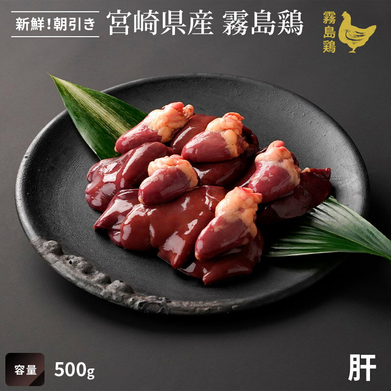 霧島鶏 肝 [500g]■生鮮品■（※お一人様1kgまで）鳥レバー 鶏肉 お取り寄せグルメ 肉【宮崎県産】【とり肉】【銘柄鶏】【メディア紹介】