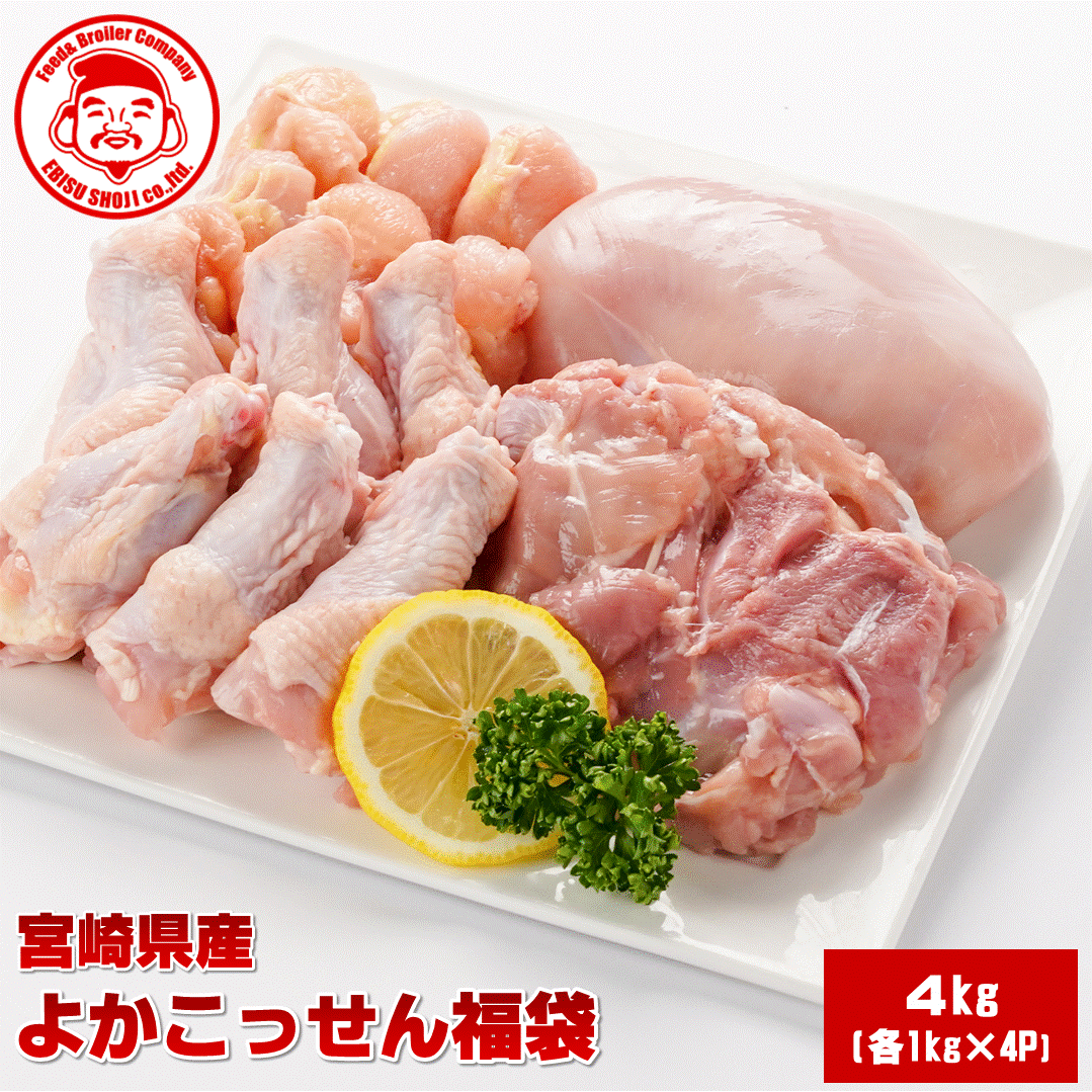 【送料無料】エビス鶏よかこっせん