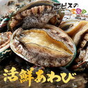 あわび 冷凍あわび 蝦夷 アワビ 活鮮あわび 鮮度そのまま急速冷凍 高級 煮 料理 鮑 貝類 お刺身 肝 BBQ ステーキ バター焼き エゾアワビ 海の幸 珍味 食材 お祝い 生食用 中華食材 グルメ 海産物 バーベキュー -18℃ 築地 海鮮 送料無料 殻付き 2バッグセット 多人分 2