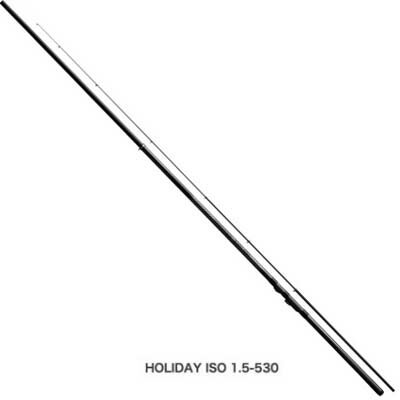 ޥ HOLIDAY ISO Υۥǡ  2 530 ԥ˥󥰥å