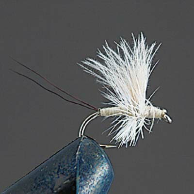 ڥ᡼زġۥХ졼ҥ COMPLETE FLY Υɥ饤ե饤 D3 CDCåB (꡼) #14#16