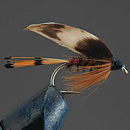 ڥ᡼زġۥХ졼ҥ COMPLETE FLY Υåȥե饤 W10 ϡǥեХå #10