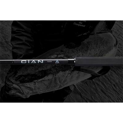 ������Բġۥ���å��� CiAN / ������ CiAN-100XH ���ԥ˥󥰥��å�