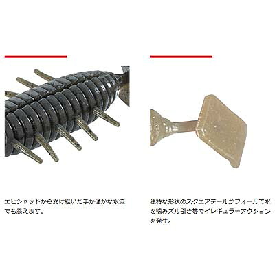 バレーヒル エビタンク 3.5インチ 5本入 ＃24 キングオリーブ