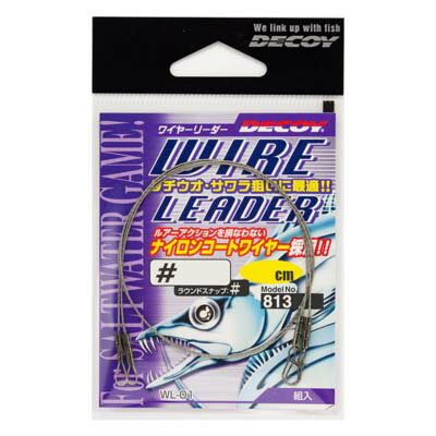 ĥ WL-01 磻䡼꡼ (Wire Leader) #48 30cm 2 饤