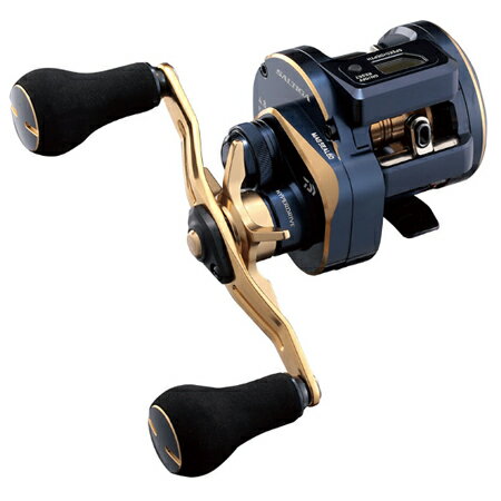 ダイワ 21 ソルティガ IC 100P-DH