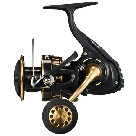 ダイワ 23 BG SW 6000D-P