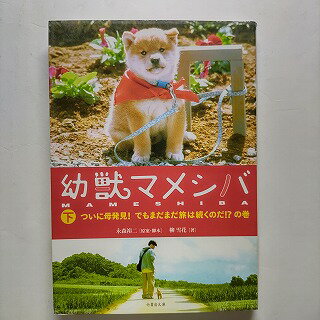 幼獣マメシバ 下（ついに母発見！でもまだまだ 竹書房 永森裕二 永森裕二、柳雪花 竹書房文庫 中古 配送費無料9784812438466