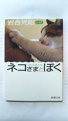 Rakuten - ネコさまとぼく (新潮社文庫) 岩合光昭 中古 9784101198194 送料無料