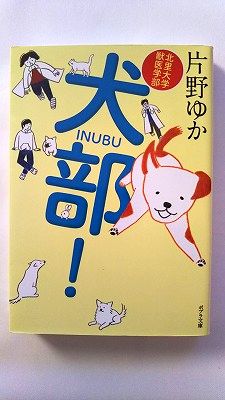 北里大学獣医学部 犬部! (ポプラ文庫) 片野 ゆか 中古 9784591129166 送料無料