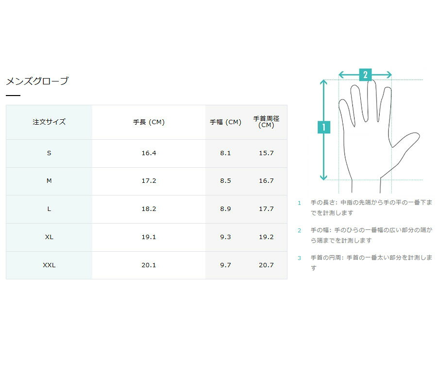 エビスヤスポーツのサロモン FORCE GORE - TEX 男性用グローブ メンズ スキー スノーグローブ 手袋 アルペン スノーボード 防水 LC2385600 2024-25 Salomon｜アングル3