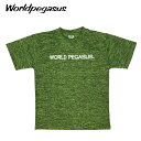 ワールドペガサス ベースボール Tシャツ ひらがな 野球 半袖 WAPTS102H 82C 2022春夏 Worldpegasus 【202204C】