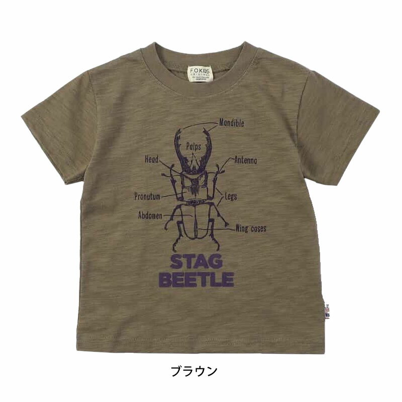 エフオーインターナショナル STAG BEETLE Tシャツ キッズ ジュニア 子供 半袖 クワガタ カジュアル R207185 F.O.International 2025春夏