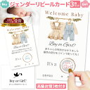 ジェンダーリビール カード 3枚セット 専用封筒3枚付き サプライズ 赤ちゃん 性別発表 ジェンダーリビールカード 散らからない ケーキ バルーン クラッカー 赤ちゃん スクラッチ ボックス ケーキ以外 小さめ グッズ 風船 クッキー 飾り 旗 ドッキリ ベビー 服(4)