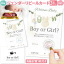 ジェンダーリビール カード 3枚セット 専用封筒3枚付き サプライズ 赤ちゃん 性別発表 ジェンダーリビールカード 散らからない ケーキ バルーン クラッカー 赤ちゃん スクラッチ ボックス ケーキ以外 小さめ グッズ 風船 クッキー 飾り 旗 ドッキリ ベビー 洗濯グリーン