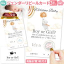 ジェンダーリビール カード 3枚セット 専用封筒3枚付き サプライズ 赤ちゃん 性別発表 ジェンダーリビールカード 散らからない ケーキ バルーン クラッカー 赤ちゃん スクラッチ ボックス ケーキ以外 小さめ グッズ 風船 クッキー 飾り 旗 ドッキリ ベビー 服 熊 クマ