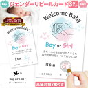 ジェンダーリビール カード 3枚セット 専用封筒3枚付き サプライズ 赤ちゃん 性別発表 ジェンダーリビールカード 散らからない ケーキ バルーン クラッカー 赤ちゃん スクラッチ ボックス ケーキ以外 小さめ グッズ 風船 クッキー 飾り 旗 ドッキリ ベビー 服 手