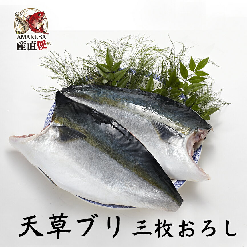 ブリフィレ半身×2枚 （原魚サイズ4kg前後）鮮魚 刺身 ...