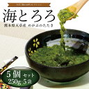 ＼2024年4月新物開始／めかぶのたたき 海とろろ(250g×5袋) 芽かぶ メカブ 冷凍 湯通し済み 健康 海藻 ギフト 牛深産 贈答 御歳暮 おせち ギフト ダイエット めかぶ 海鮮グルメ ねばねばパワー全開 サラダにもおすすめ 2