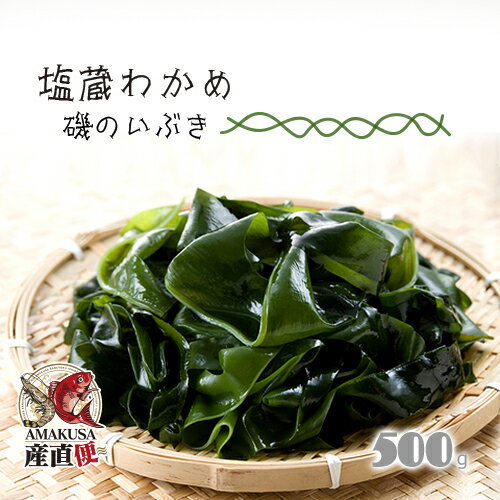 わかめ 500g 国産 天草牛深産 塩蔵わかめ（ワカメ 若芽...