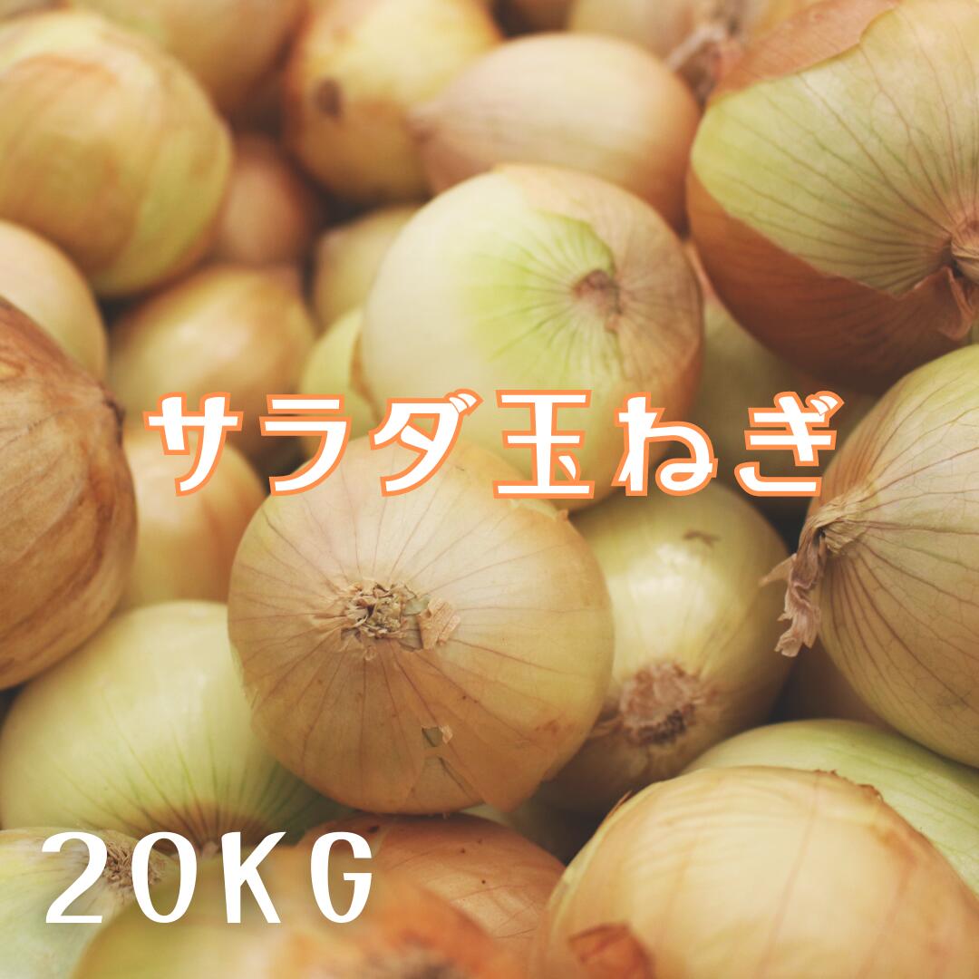 ＼2024年新物スタート／訳ありオーガニック 玉ねぎ 20kg 完全無農薬 タマネギ こだわり農法 送料無料 サラダたまねぎ オーガニック栽培 サラたま　M〜Lサイズ混合