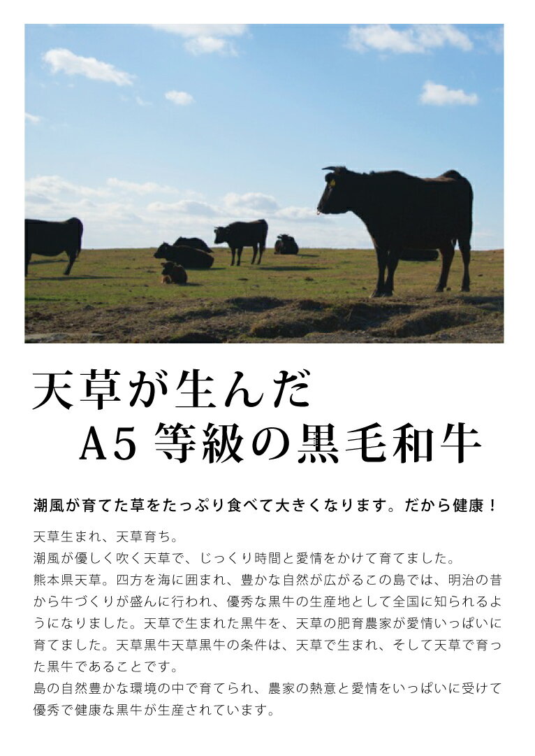 【ステーキ肉 国産】送料無料《黒毛和牛特選サーロインステーキ肉：3枚＝計800g：A5等級和牛》a5 和牛《和牛 ブロック/和牛 ステーキ/牛肉 ステーキ》●ブロックサーロインステーキ肉田中畜産ネット通販【P】（オリジナル和風ステーキソース付き）