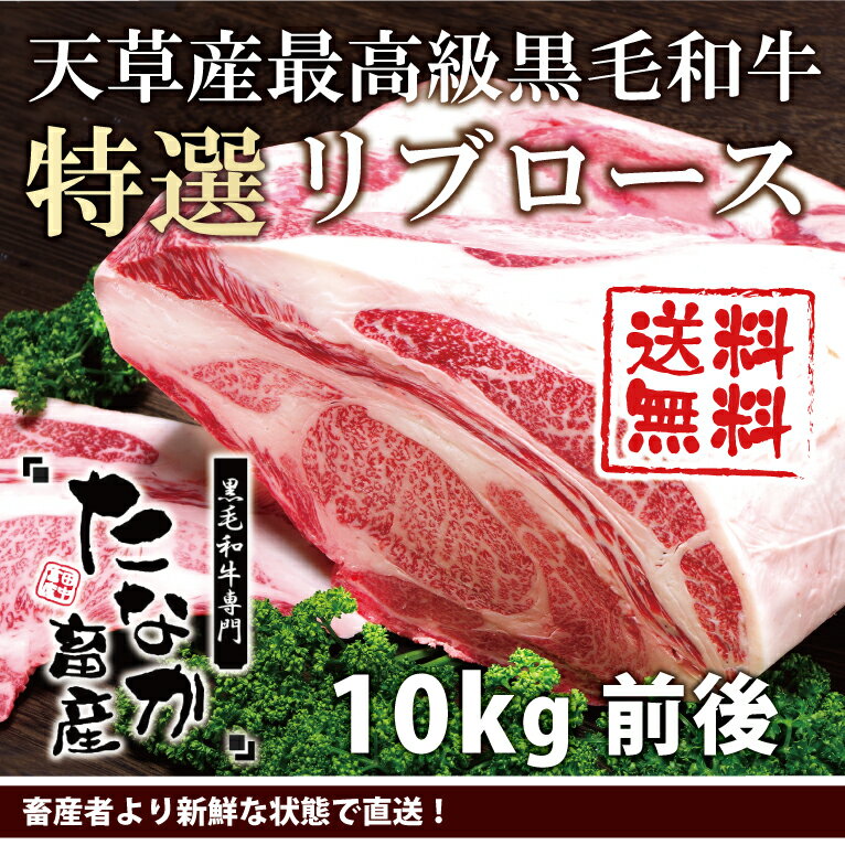 【ステーキ肉 国産】送料無料《黒毛和牛特選 リブロースブロック肉1本：10kg前後：A5等級和牛》a5 和牛《和牛 ブロック/和牛 ステーキ/牛肉 ステーキ》●ブロックサーロインステーキ肉田中畜産ネット通販【P】