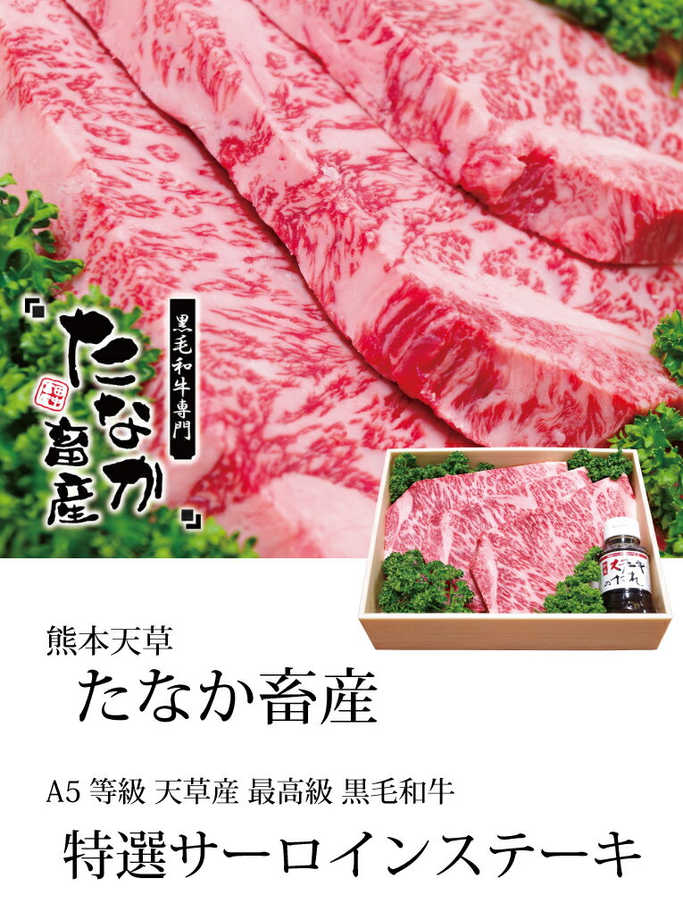 【ステーキ肉 国産】送料無料《黒毛和牛特選サーロインステーキ肉：3枚＝計800g：A5等級和牛》a5 和牛《和牛 ブロック/和牛 ステーキ/牛肉 ステーキ》●ブロックサーロインステーキ肉田中畜産ネット通販【P】（オリジナル和風ステーキソース付き）