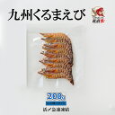 車エビ 節句 祝 九州くるまえび 冷凍（小）200g(11〜15尾) 18g以下（10cm前後）の小さい車海老 急速凍結 くるまえび 活〆 氷〆 刺身 鍋 天ぷら えび エビフライ エビチリ ぐるめ グルメ 贈答 送料無料 あす楽 九州産高級 お取り寄せ お取り寄せグルメ 節句 祝