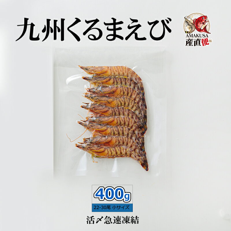 九州くるまえび 冷凍（小）400g(22〜30尾) 18g以下（10cm前後）の小さい車海老 冷凍車海老 急速凍結 くるまえび 活〆 氷〆 鍋 天ぷら えび 送料無料 あす楽 高級 お取り寄せ お取り寄せグルメ 節句 祝