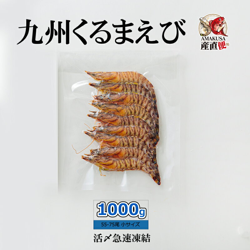 九州くるまえび 冷凍（小）1000g(55〜75尾) 18g以下（10cm前後）の小さい車海老 冷凍車海老 急速凍結 くるまえび 活〆 氷〆 鍋 天ぷら 国産 えび 送料無料 あす楽 えびみそ 有頭 えび 海鮮 BBQ 節句 祝料理 お節