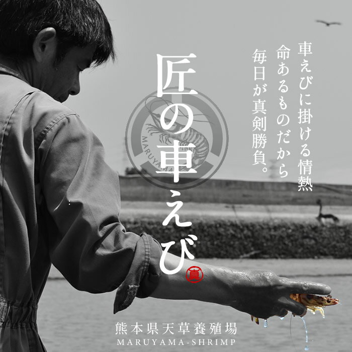 �ֳ�Ϸ ŷ�� ����ο����ӡϳ褭�� M 45����9����250g��5P�ϼ֥��� �ɿ� �Ƥ� �ե饤 ���ܸ� �ܿ� ����ޥ��� ���� ���μ֤��� ľ��� �� ������ ���Ƥ��ο��� �ߥ��եȡ�