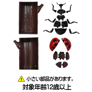 昆虫パズルフィギュア テントウムシ リアル昆虫フィギュア 組立 立体パズル エール YPF-INSECT-TET 昆虫 パズル おもちゃ 知育玩具