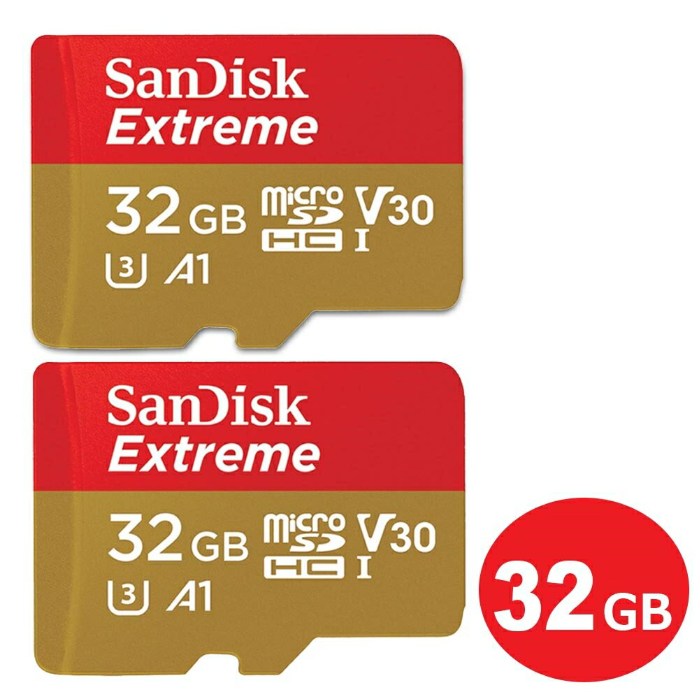 サンディスク microSDHCカード 32GB 2枚入り EXTREME Class10 UHS-1 U3 V30 A1 100MB/s SDSQXAF-032G-GN6MN-2P Nintendo Switch スイッチ推奨 microSD SanDisk 海外リテール メール便送料無料