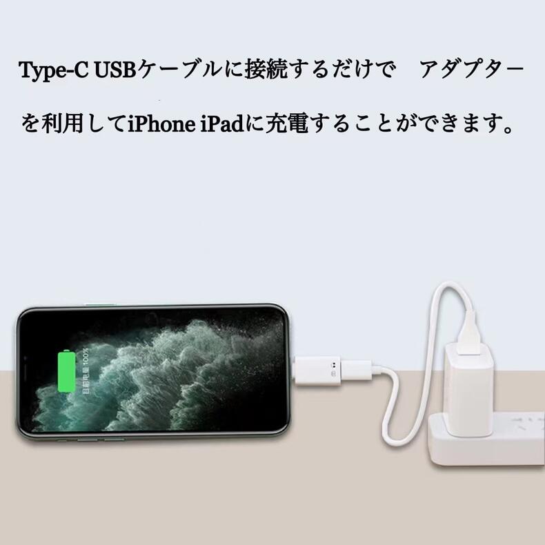 送料無料 iOS USB C変換アダプターType C (メス) ー iOS (オス) Lightning ライトニンぐ 充電 イヤホン変換 写真転送 USBメモリ 変換コネクタ 型番EC-a3219