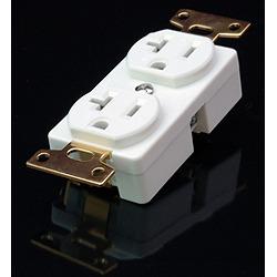 オヤイデ電気 OYAIDE R-1 20A壁コンセント
