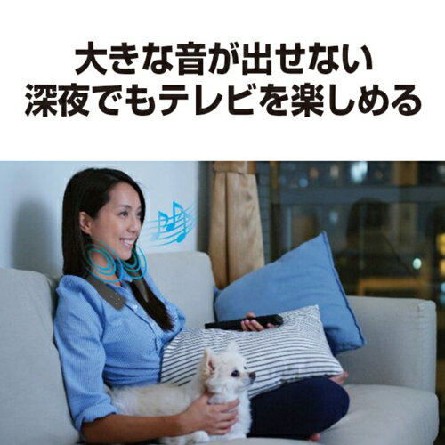 �ѥʥ��˥å�(Panasonic) SC-WN10-W �ۥ磻�� �磻��쥹�ͥå����ԡ����������ƥ�