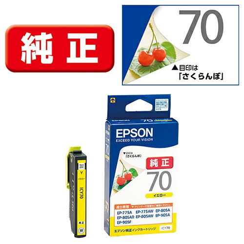 ץ(EPSON) ICY70 ()  󥯥ȥå 