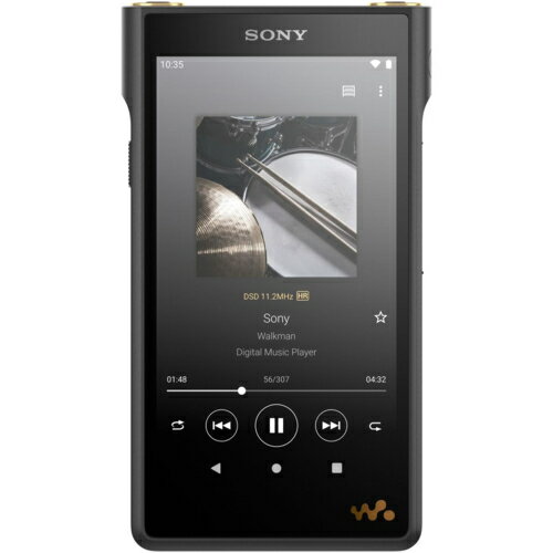 オーディオ ソニー SONY NW-WM1AM2 ウォークマンWM1シリーズ 128GB NWWM1AM2