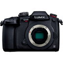 Panasonic DC-GH5S