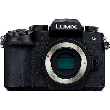 【長期保証付】パナソニック LUMIX DC-G99 ボディ